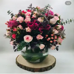 فازة هولندية